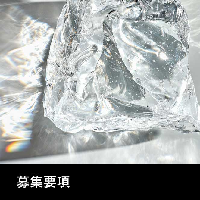 募集要項